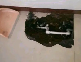 孝感市卫生间测漏水多少钱
